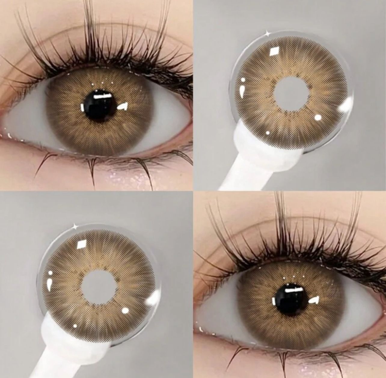 Brown Contact Lenses