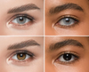 Icy Grey | Yearly Coloured Lenses